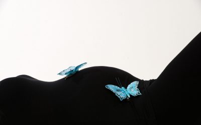 Rojstvo metulja – program za pomoč pri zanositvi